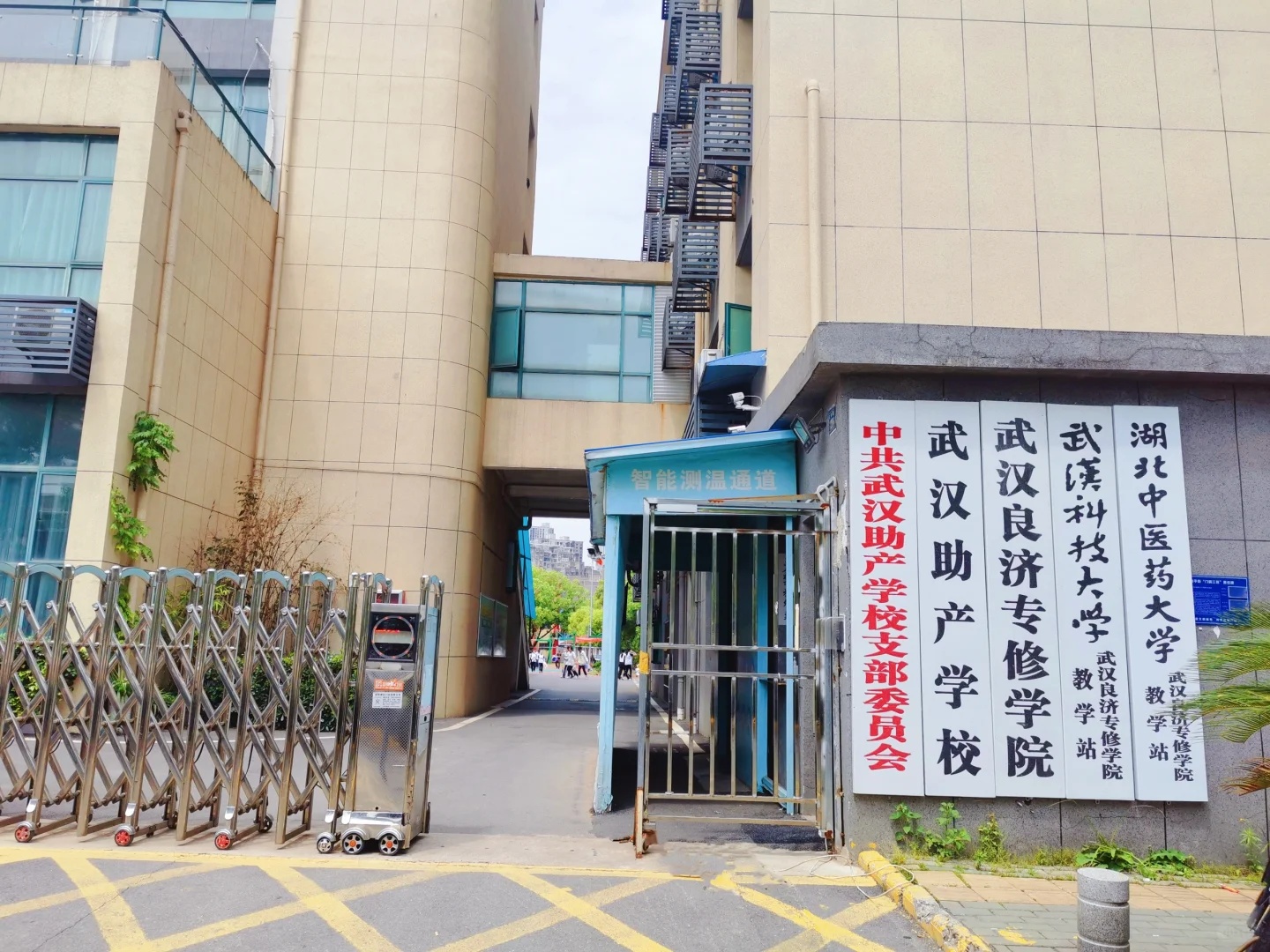 张同学